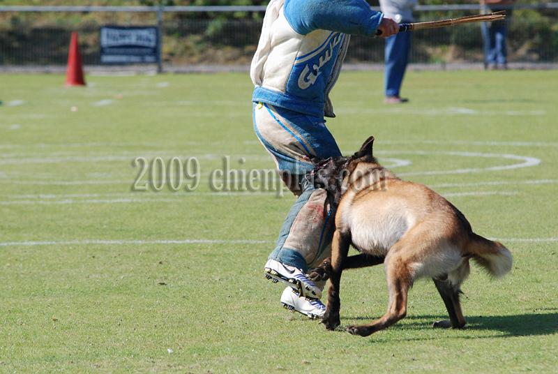 3 EME SELECTIF 2009 GRANDE SYNTHE 395.jpg